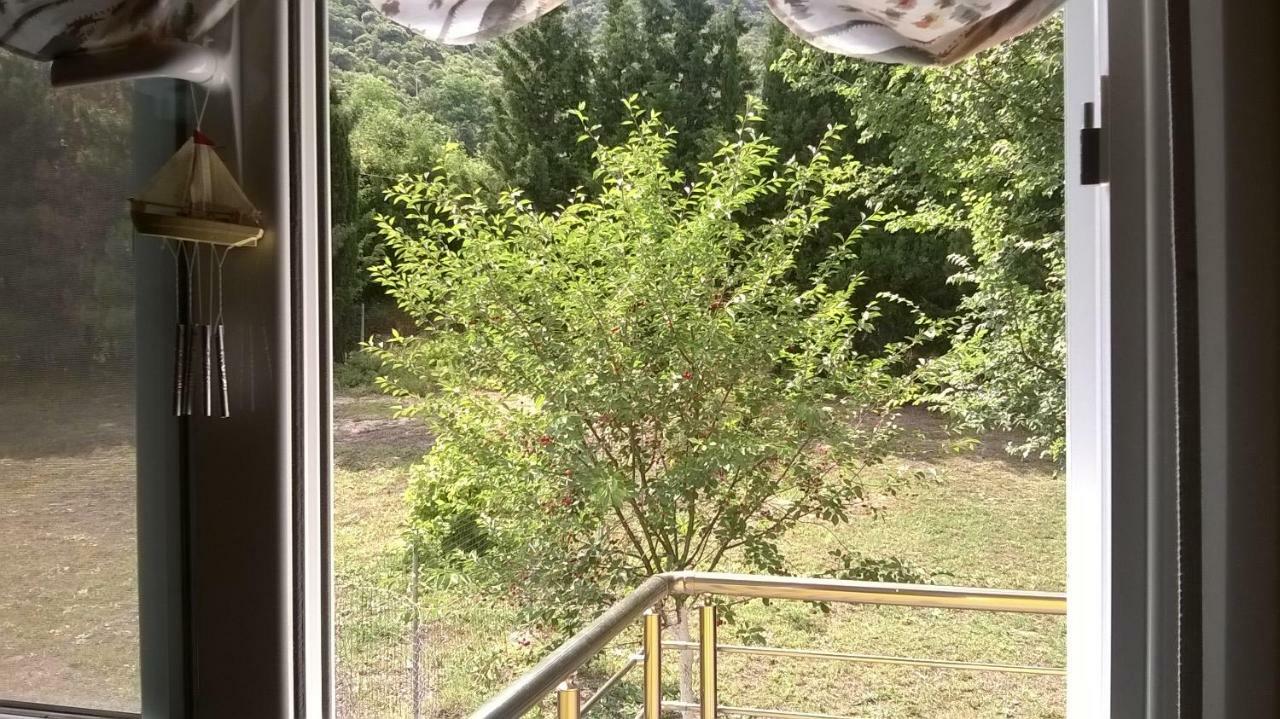 Martha'S Villa Nea Iraklitsa Kültér fotó