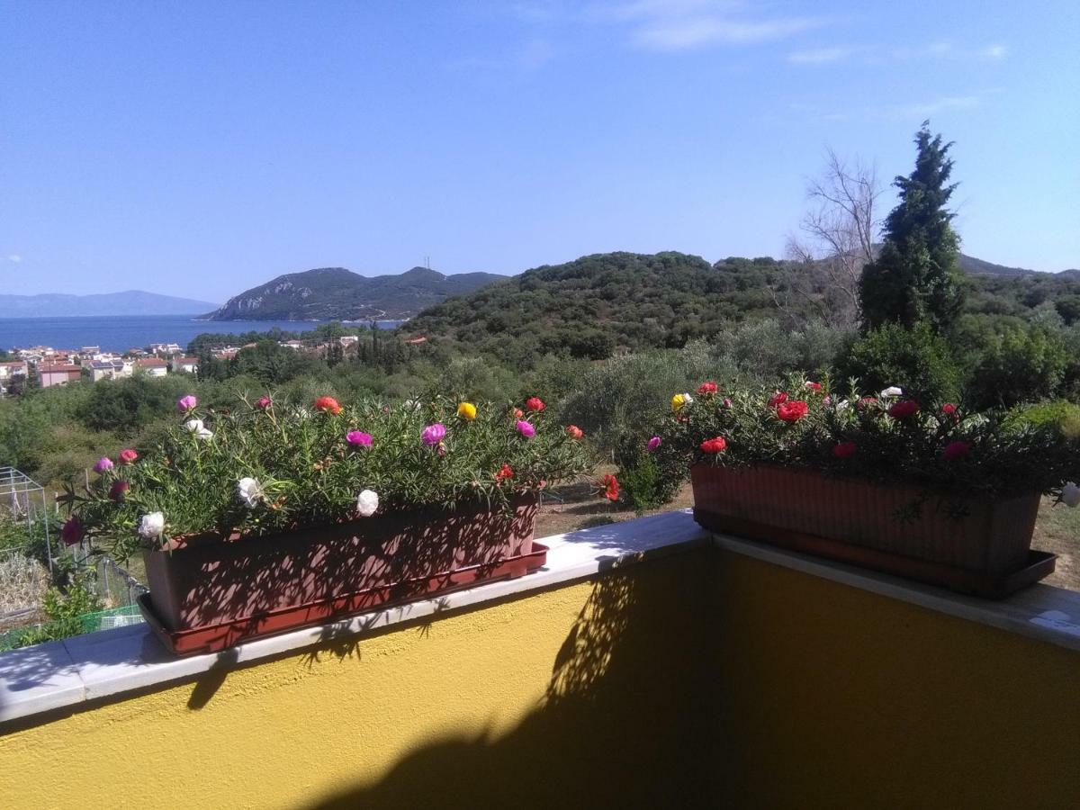 Martha'S Villa Nea Iraklitsa Kültér fotó