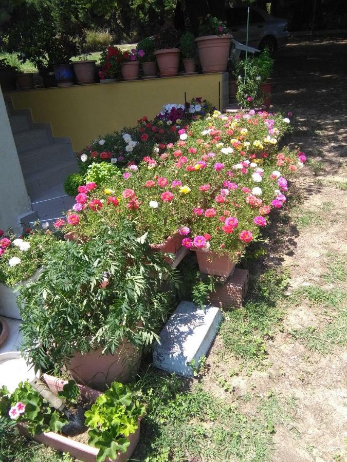 Martha'S Villa Nea Iraklitsa Kültér fotó